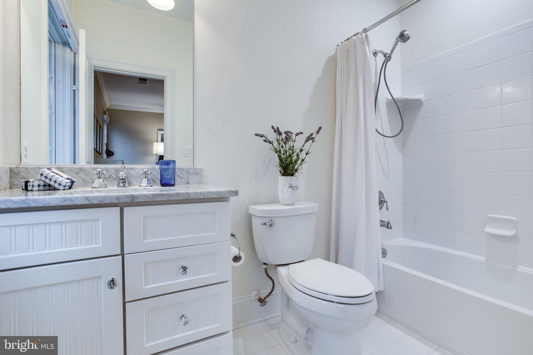 10464 Springvale Meadow Lane Great Falls, VA 22066 - Photo 49 of 103 Bath 4