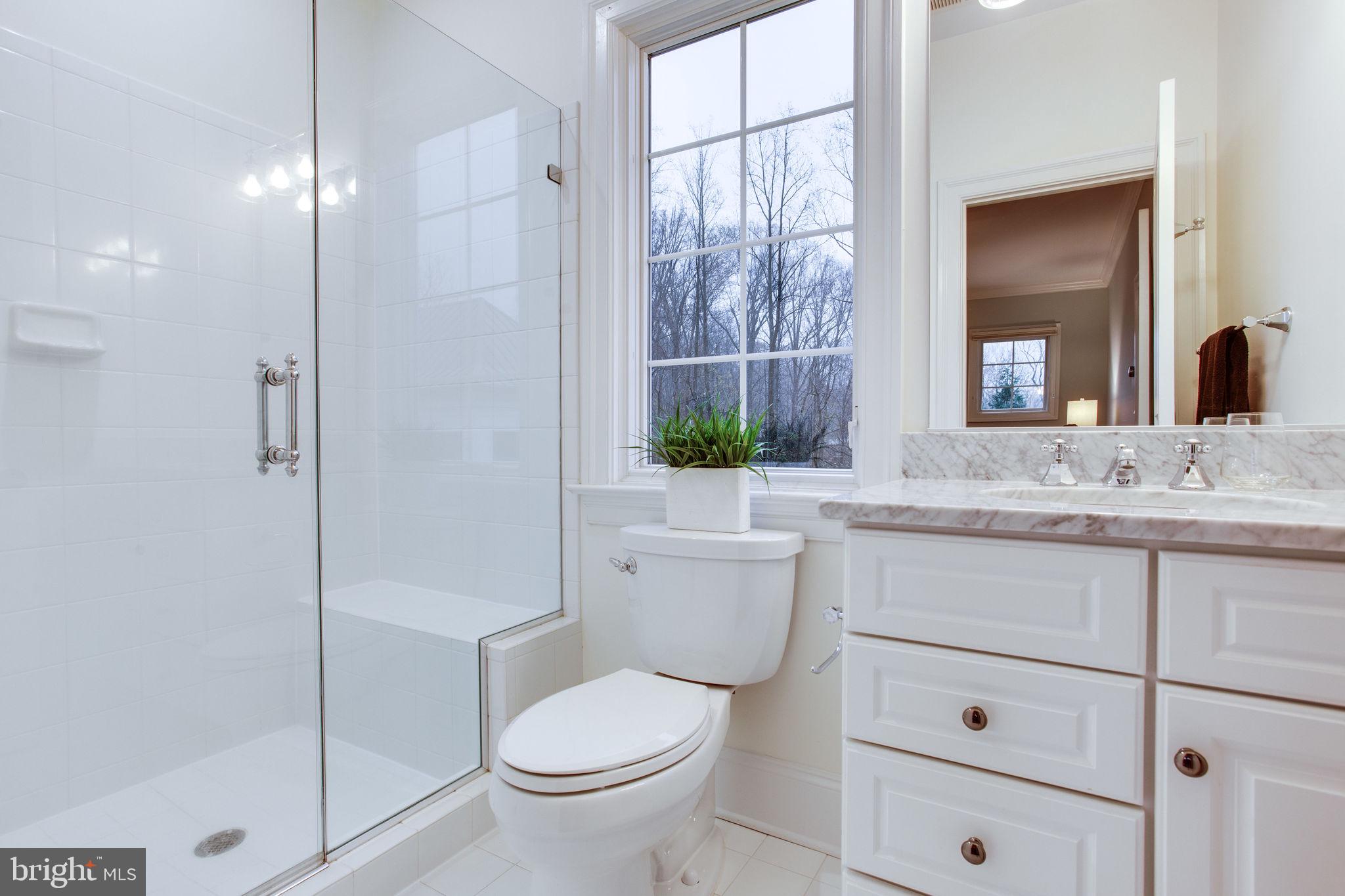 10464 Springvale Meadow Lane Great Falls, VA 22066 - Photo 52 of 103 Bath 5