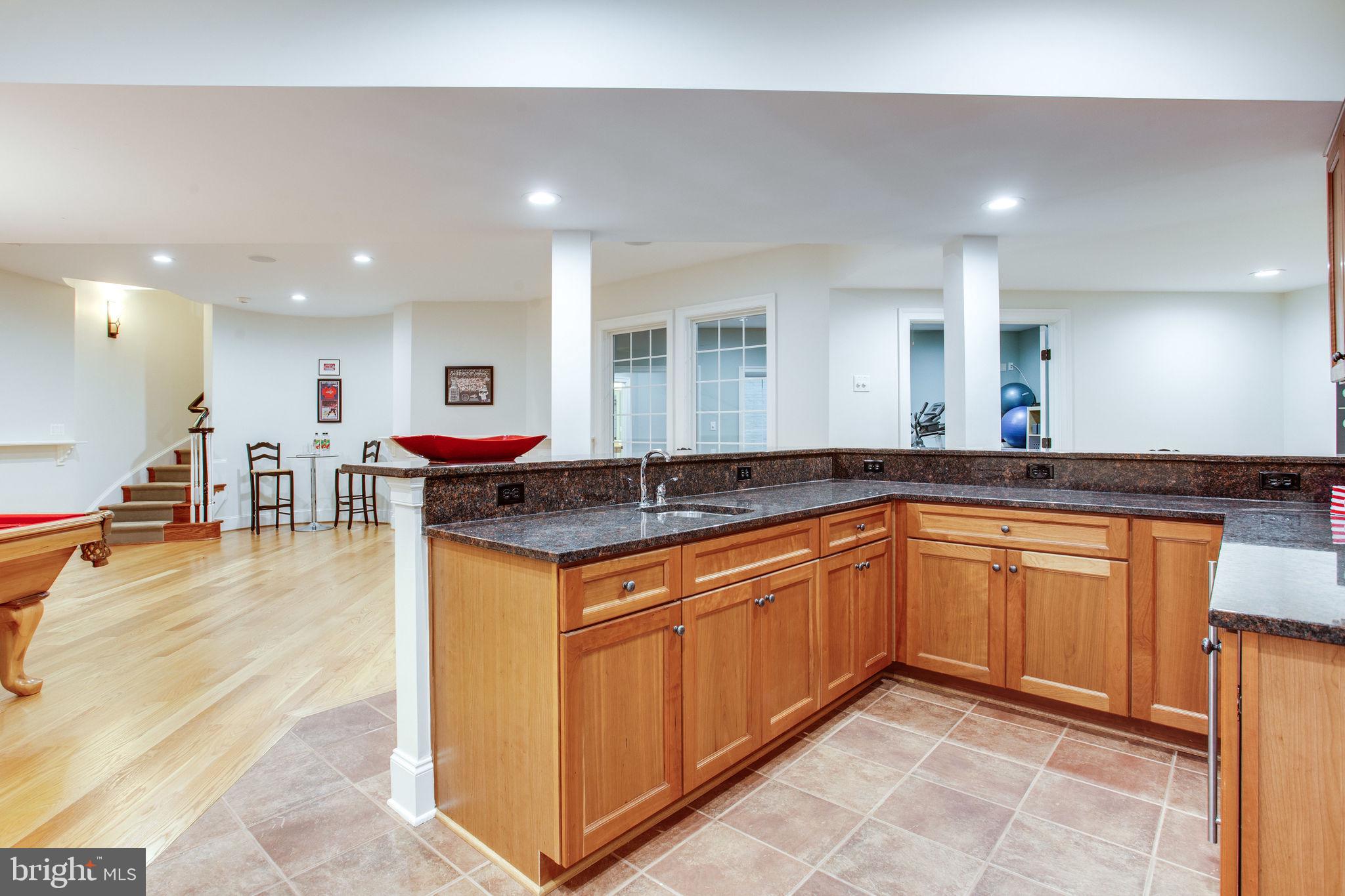 10464 Springvale Meadow Lane Great Falls, VA 22066 - Photo 61 of 103 Wet bar