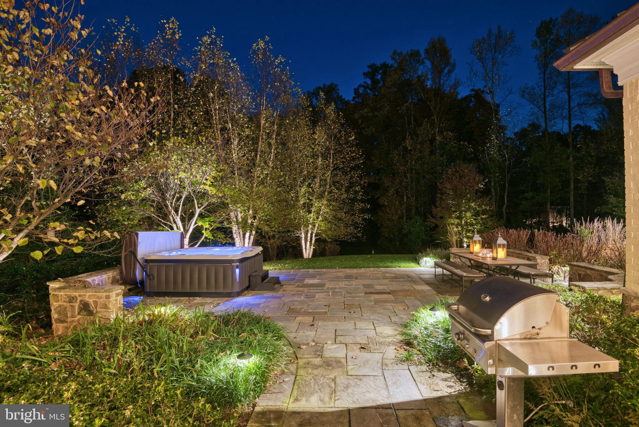 10464 Springvale Meadow Lane Great Falls, VA 22066 - Photo 7 of 103 Magical setting