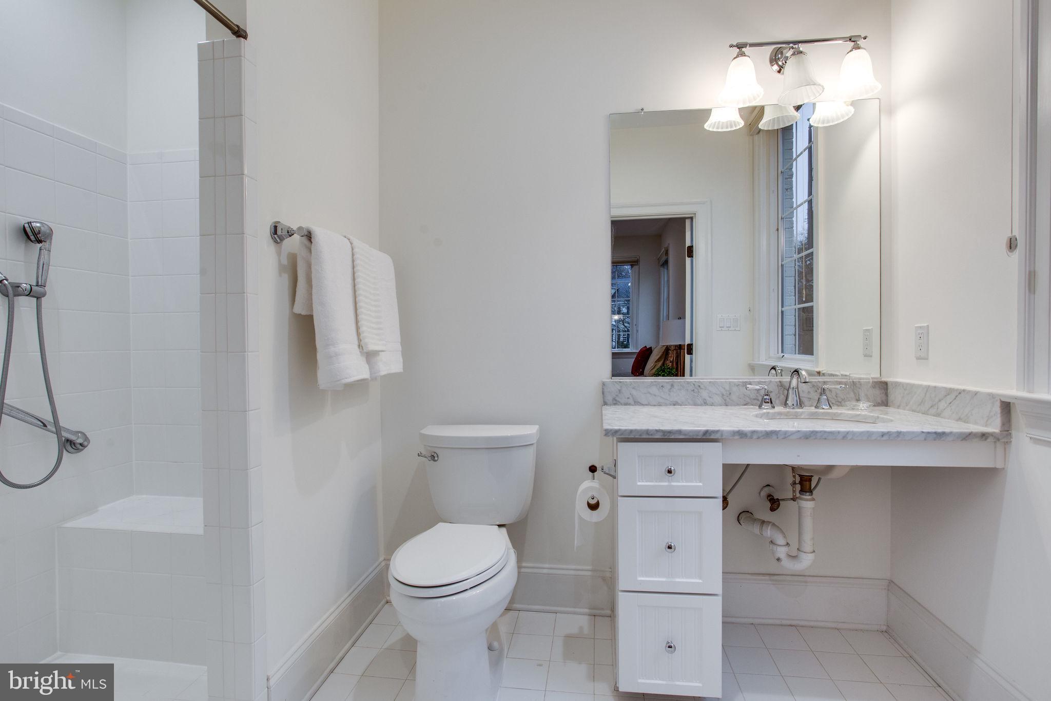 10464 Springvale Meadow Lane Great Falls, VA 22066 - Photo 73 of 103 ADA compliant bathroom