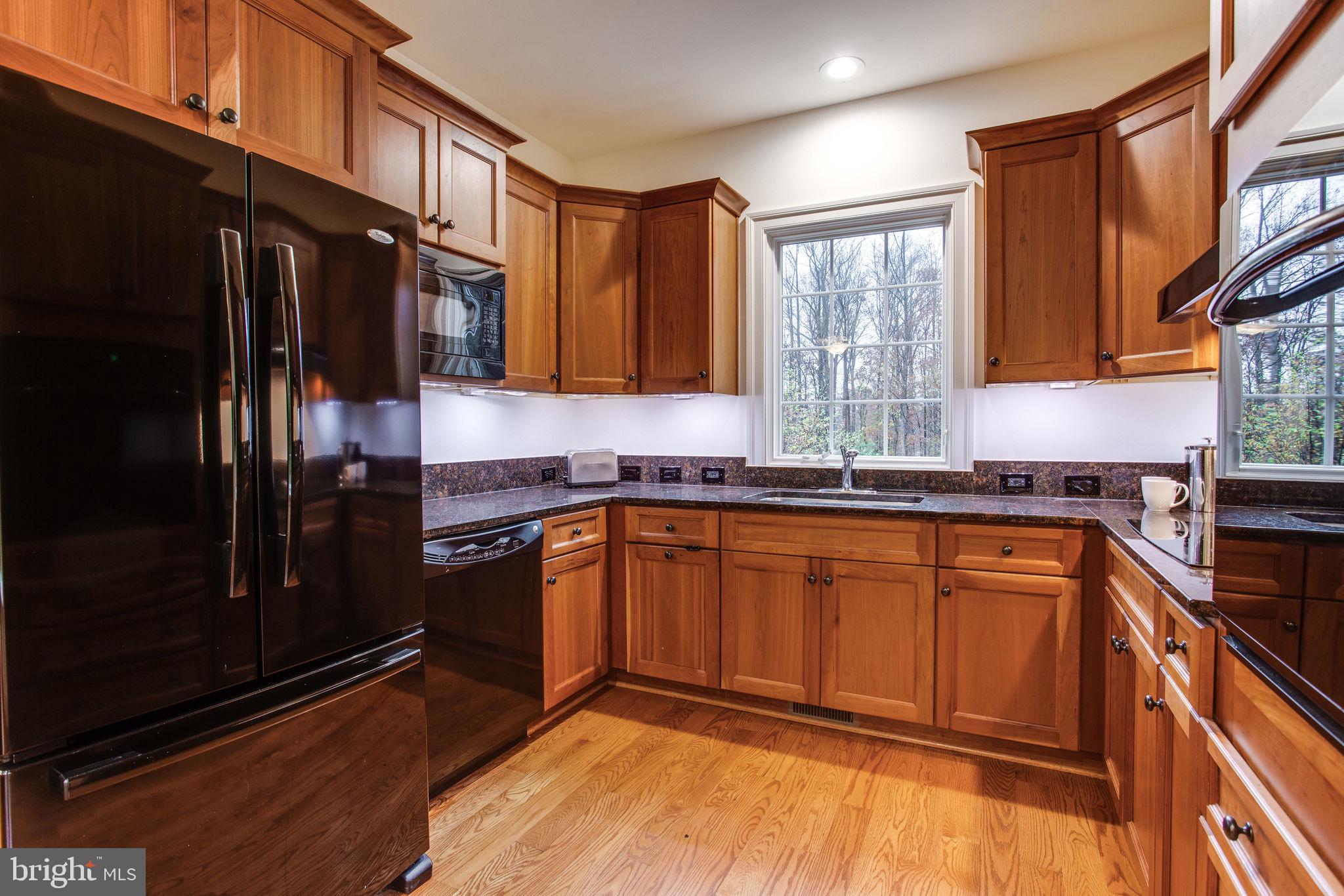 10464 Springvale Meadow Lane Great Falls, VA 22066 - Photo 77 of 103 Guest House Kitchen