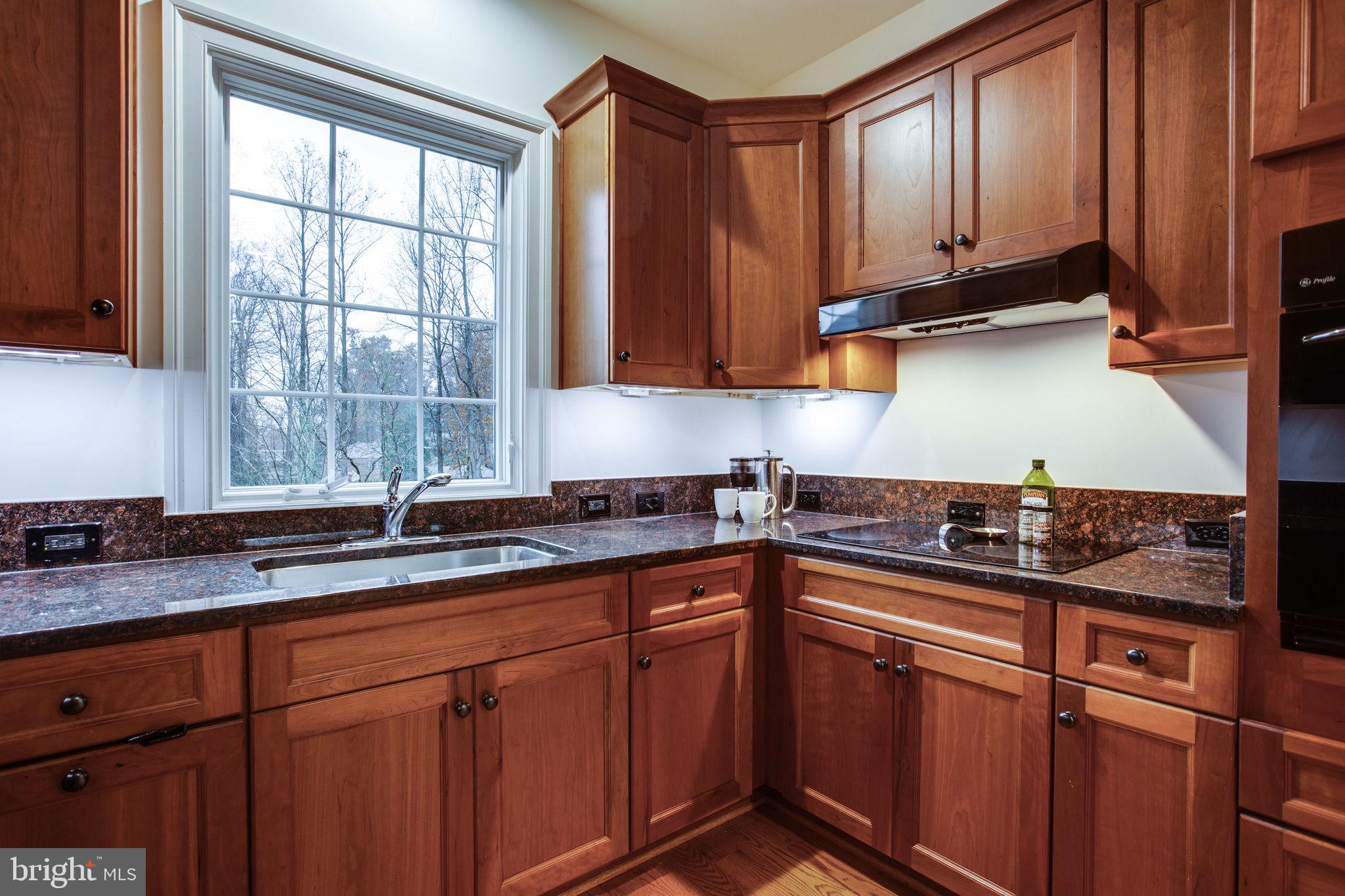 10464 Springvale Meadow Lane Great Falls, VA 22066 - Photo 78 of 103 Window overlooking back yard