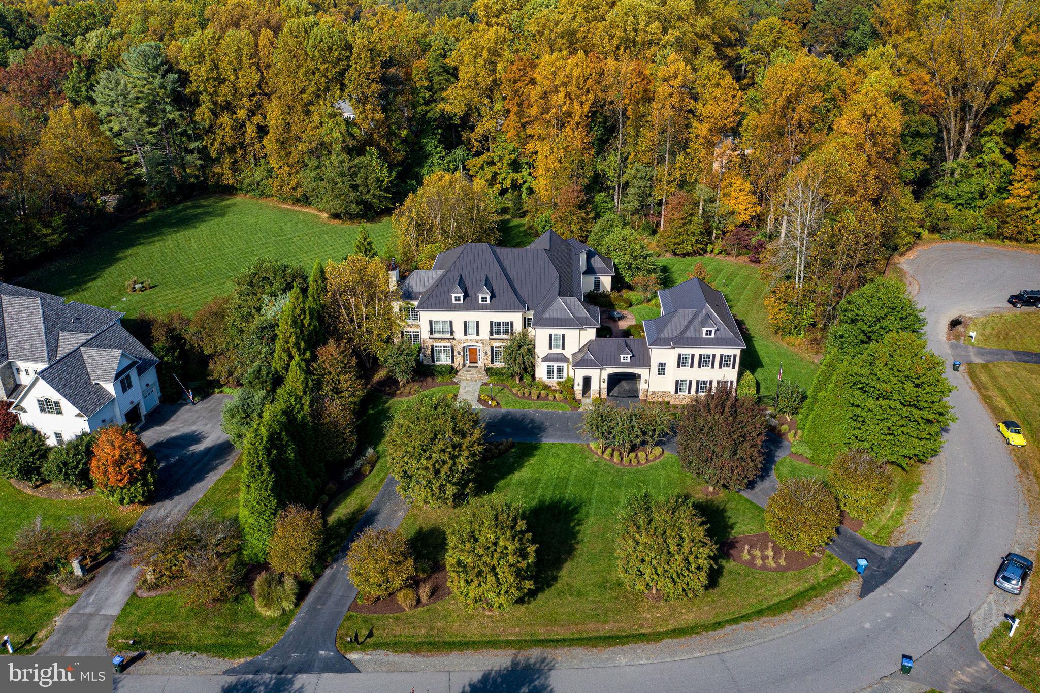 10464 Springvale Meadow Lane Great Falls, VA 22066 - Photo 85 of 103 Aerial view of cul-de-sac location