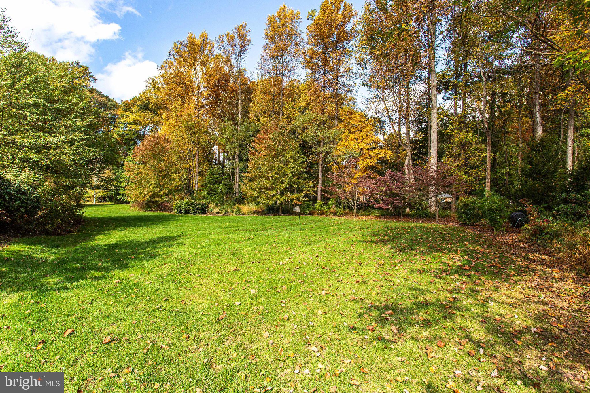 10464 Springvale Meadow Lane Great Falls, VA 22066 - Photo 94 of 103 Mature trees for privacy