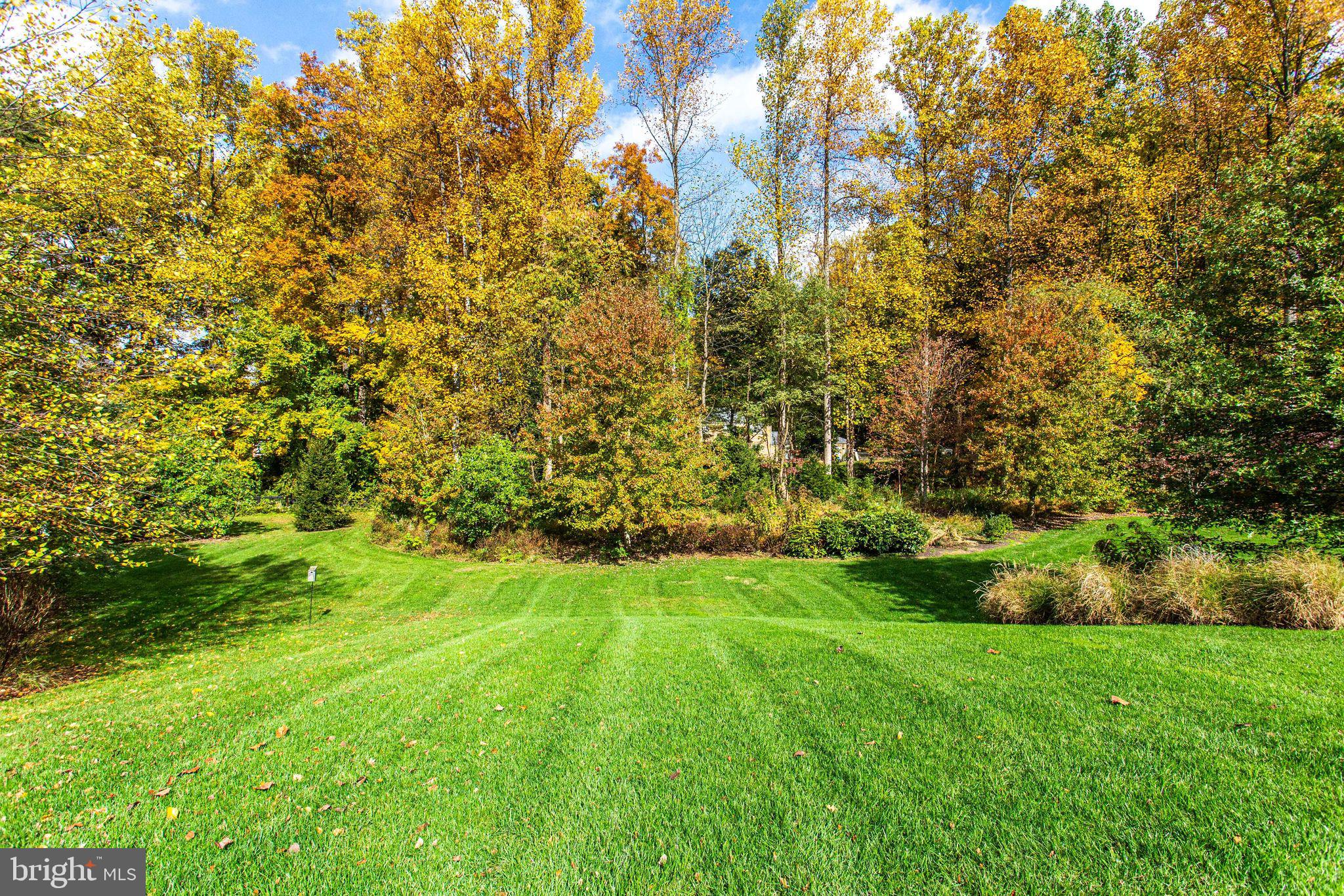 10464 Springvale Meadow Lane Great Falls, VA 22066 - Photo 96 of 103 Plenty of room for a pool