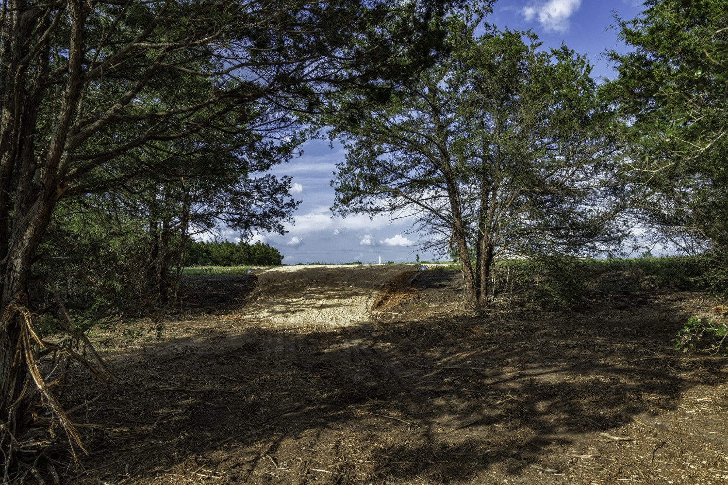 405 Vineyard View Trail Carmine, TX 78932 - Photo 12 of 12 a view of a yard with a tree