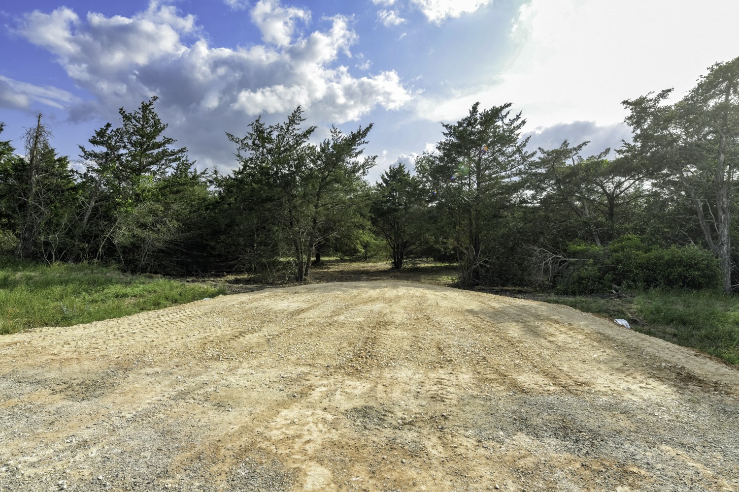 405 Vineyard View Trail Carmine, TX 78932 - Photo 4 of 12 a view of a backyard of a house