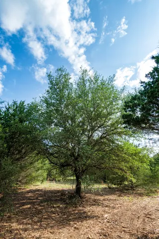 a backyard of a house with lots of green space