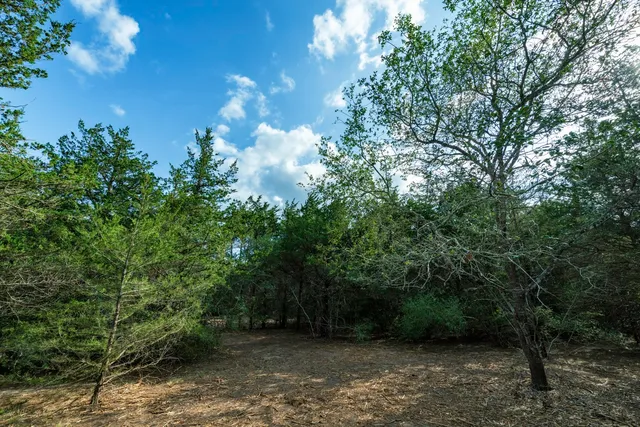 a view of an outdoor space