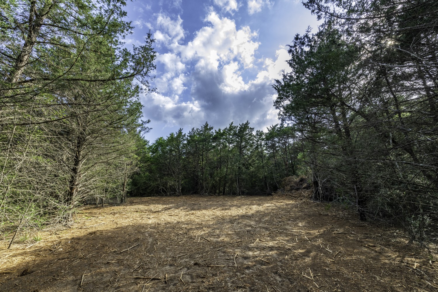 405 Vineyard View Trail Carmine, TX 78932 - Photo 9 of 12 a view of backyard with green space