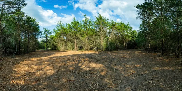 a view of backyard with green space
