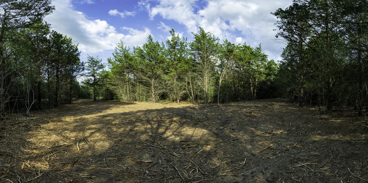 405 Vineyard View Trail Carmine, TX 78932 - Photo 10 of 12 a view of backyard with green space