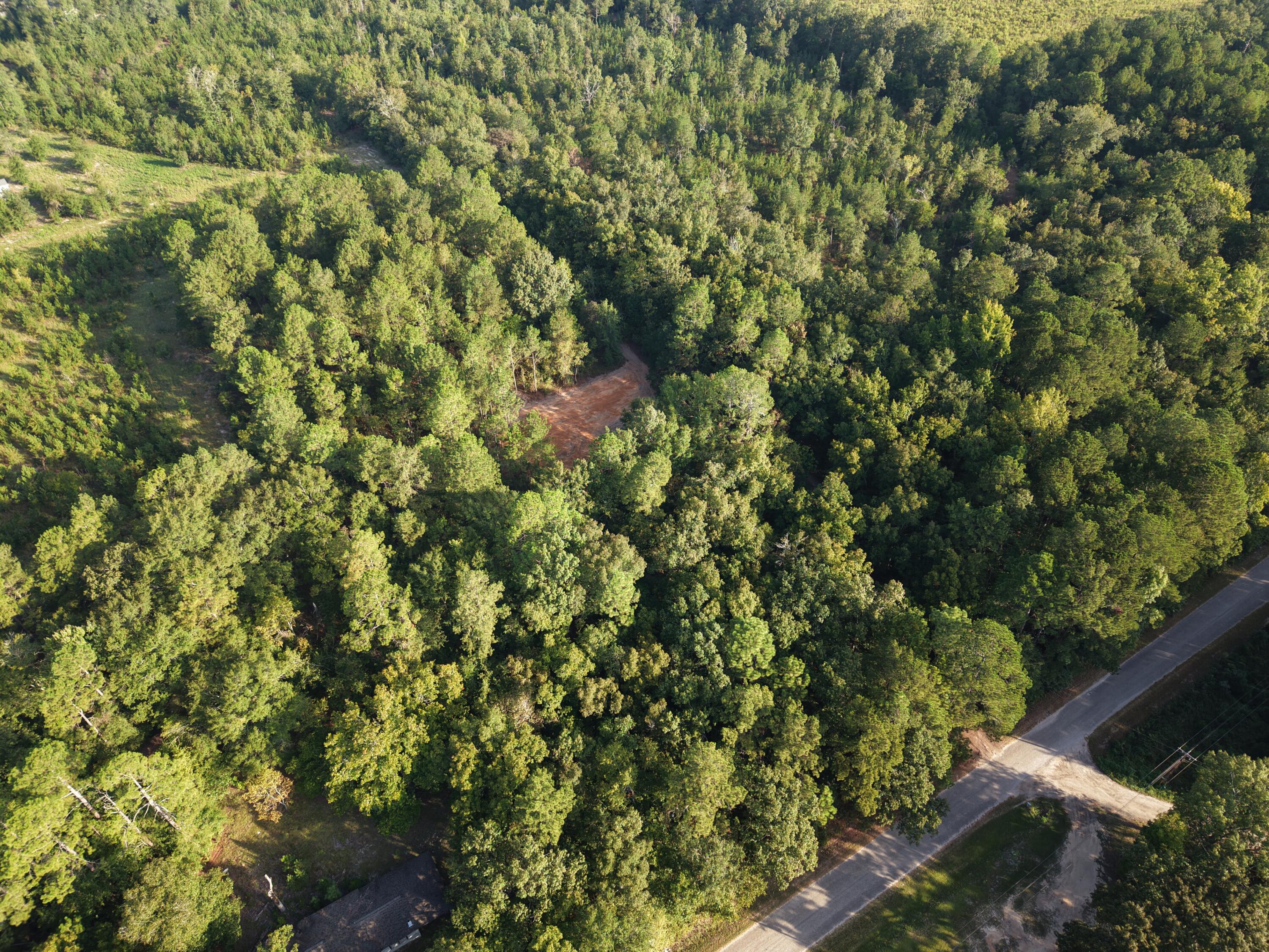 0 Comos Road Neeses, SC 29107 - Photo 5 of 9 dji_fly_20260908_090446_0029_17900078273