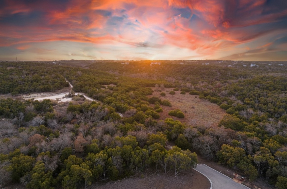 905 Rare Cat Street Leander, TX 78641 - Photo 1 of 13 a view of a city and mountains