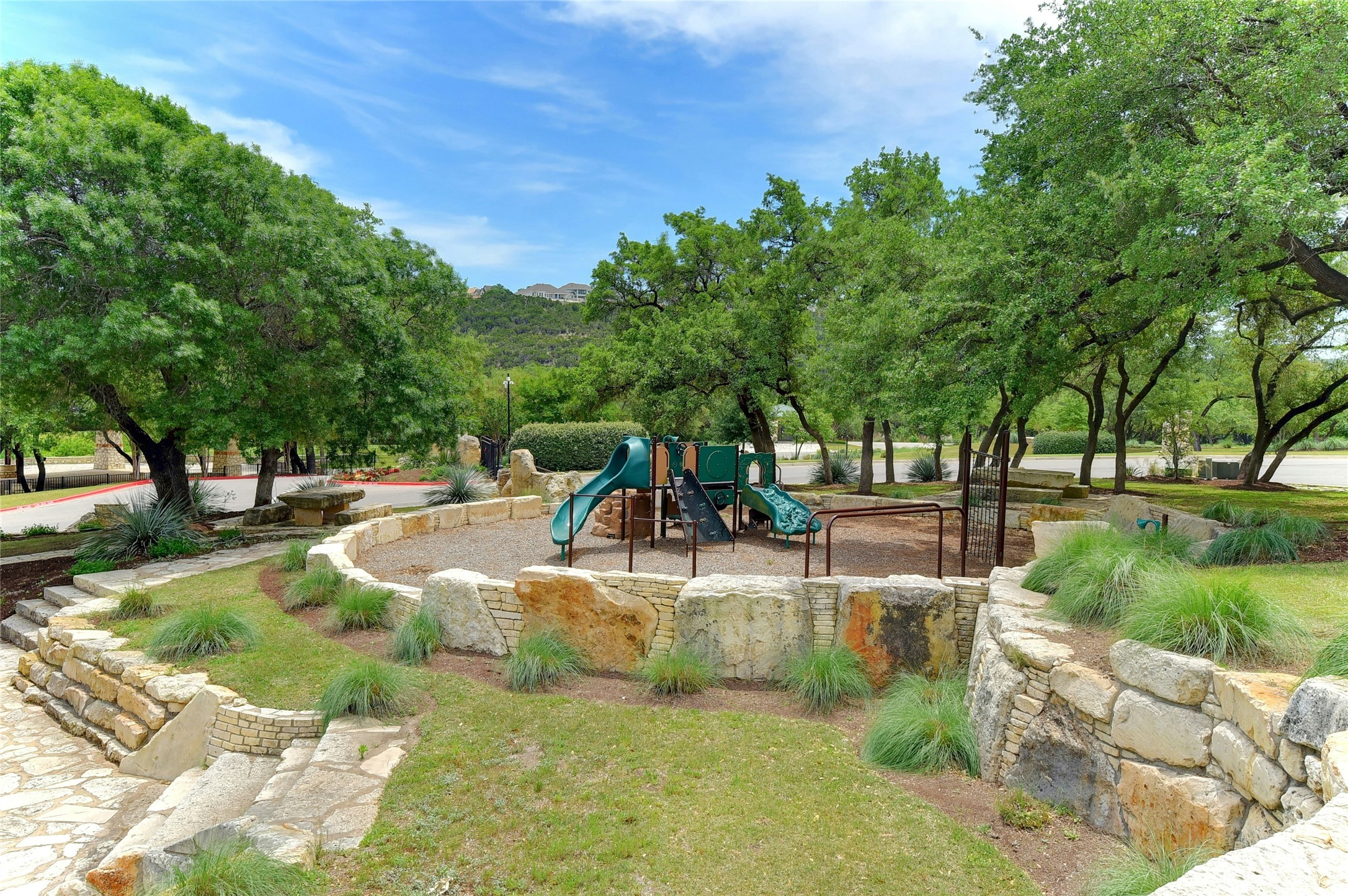 905 Rare Cat Street Leander, TX 78641 - Photo 13 of 13