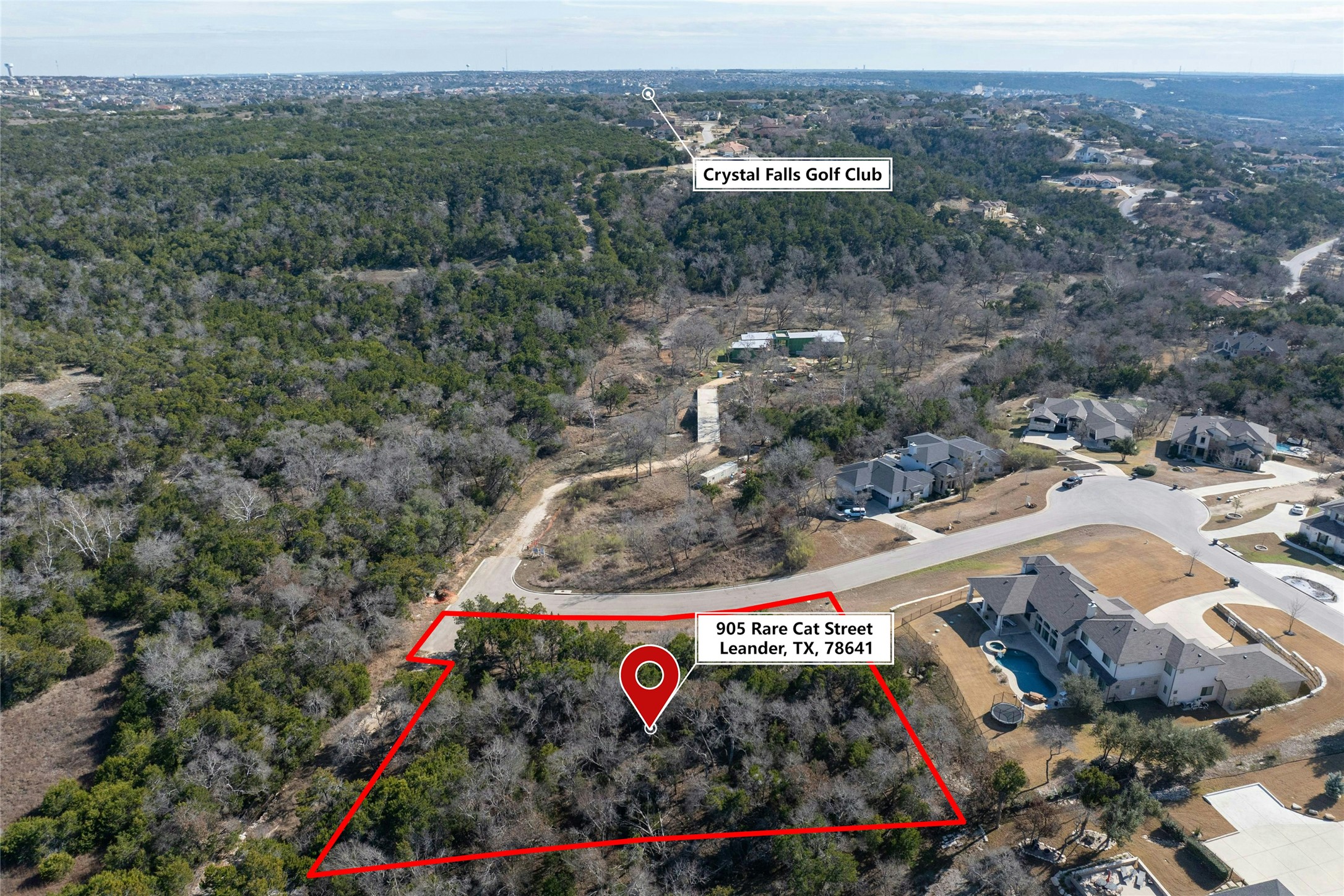 905 Rare Cat Street Leander, TX 78641 - Photo 3 of 13