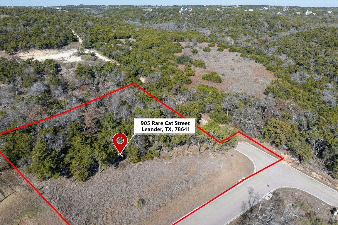 905 Rare Cat Street Leander, TX 78641 - Photo 4 of 13 a view of a street with a sign board