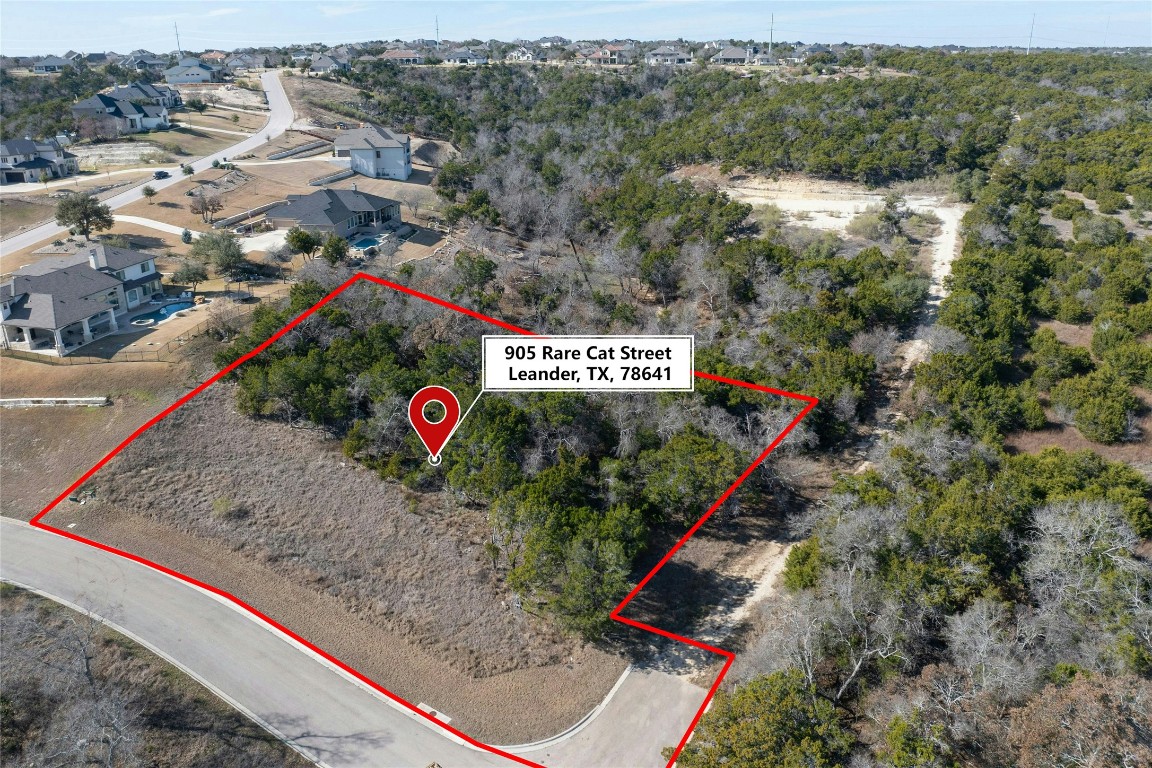 905 Rare Cat Street Leander, TX 78641 - Photo 6 of 13 a view of city