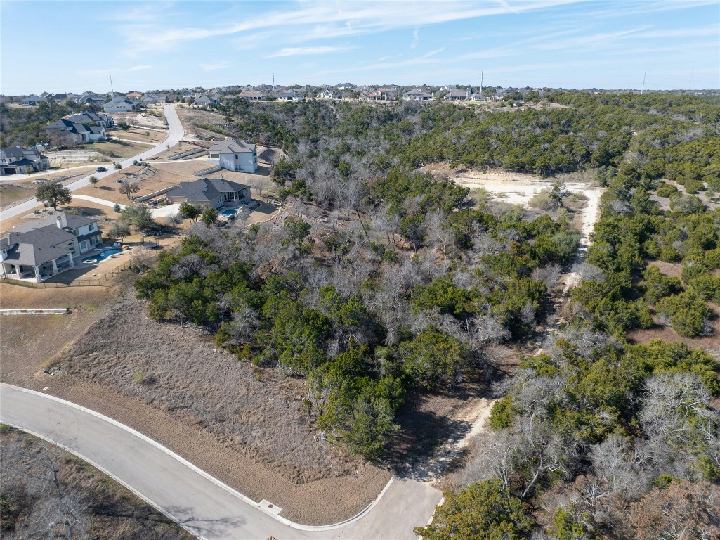 905 Rare Cat Street Leander, TX 78641 - Photo 7 of 13 an aerial view of residential house and outdoor space