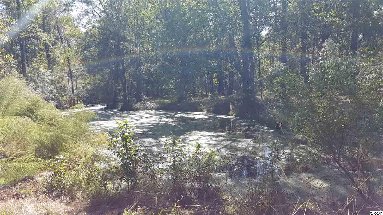 6173 Salem Road Myrtle Beach, SC 29588 - Photo 14 of 25 Gallery Image 14