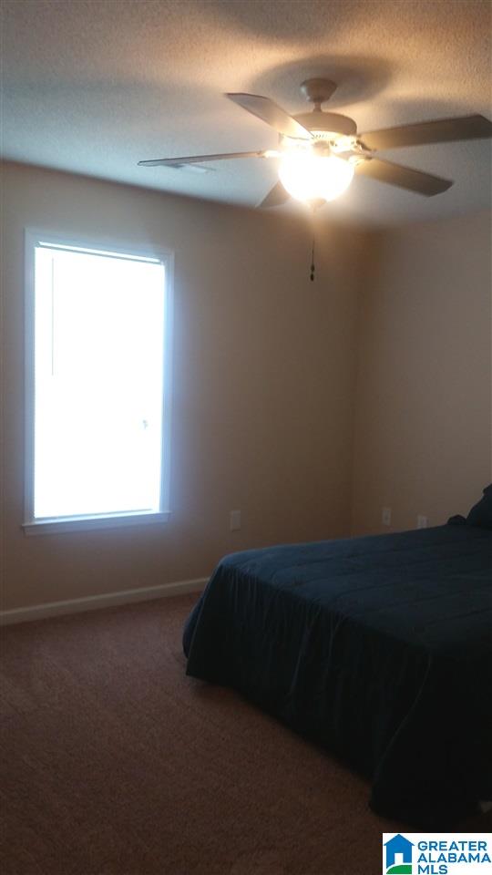 2217 Friendship Road Oxford, AL 36203 - Photo 18 of 31