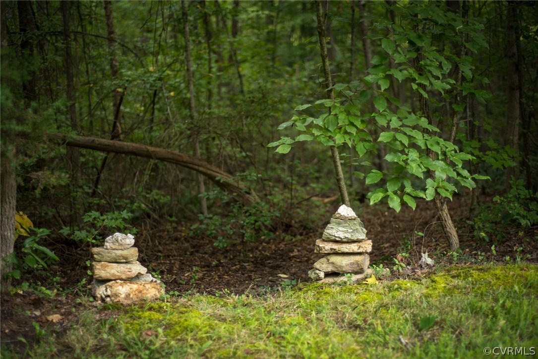 1063 Grace Johnson Road Kents Store, VA 23084 - Photo 16 of 17 Gallery Image 16