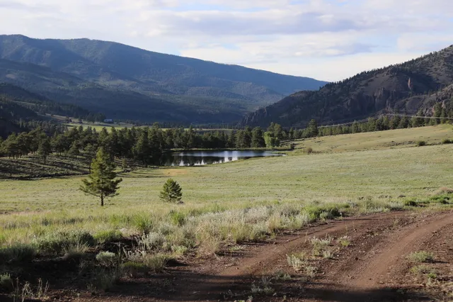 a view of a lake from a yard
