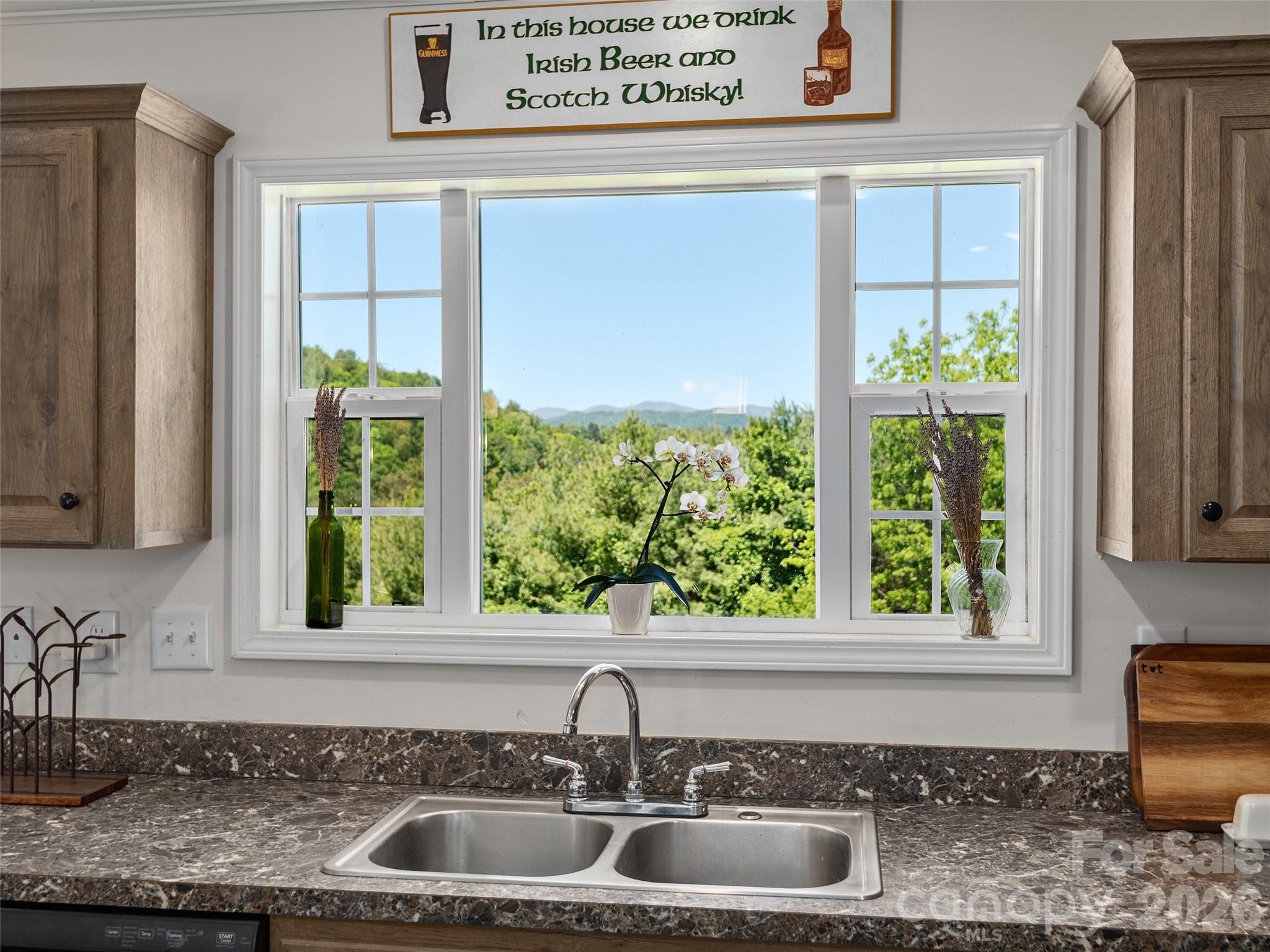 271 Sluder Branch Road Leicester, NC 28748 - Photo 9 of 24