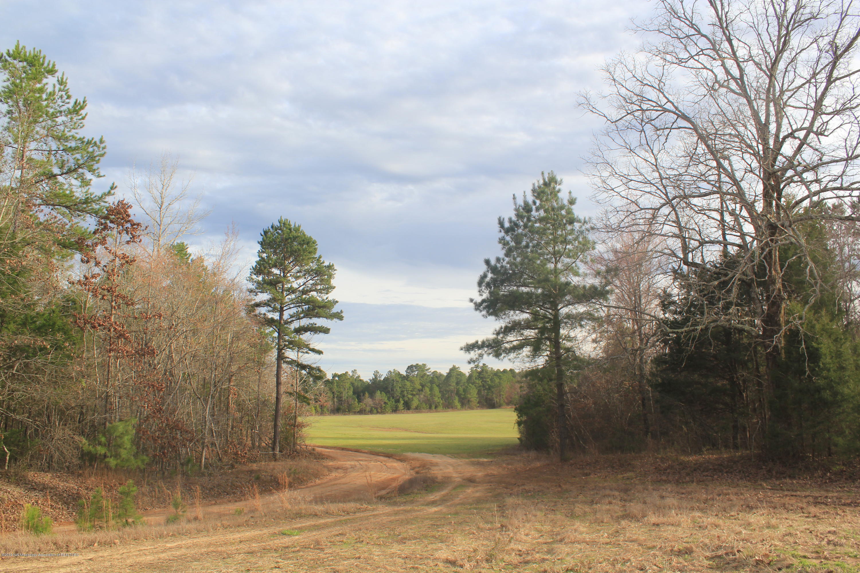 327 Tuttle Road Holly Springs, MS 38635 - Photo 20 of 64 077