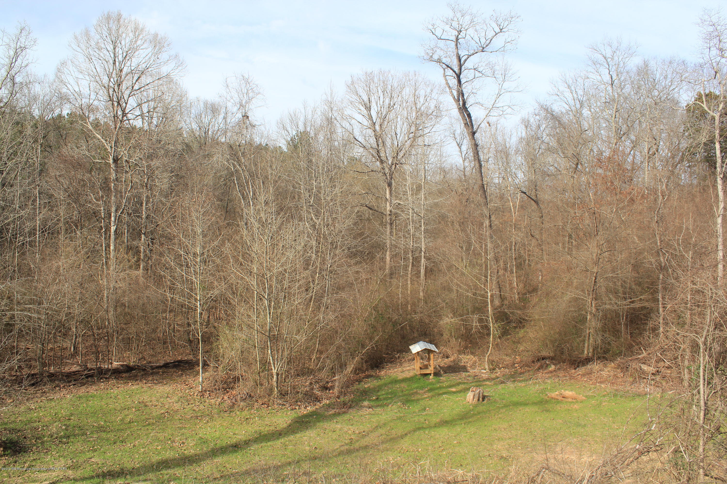 327 Tuttle Road Holly Springs, MS 38635 - Photo 3 of 64 040