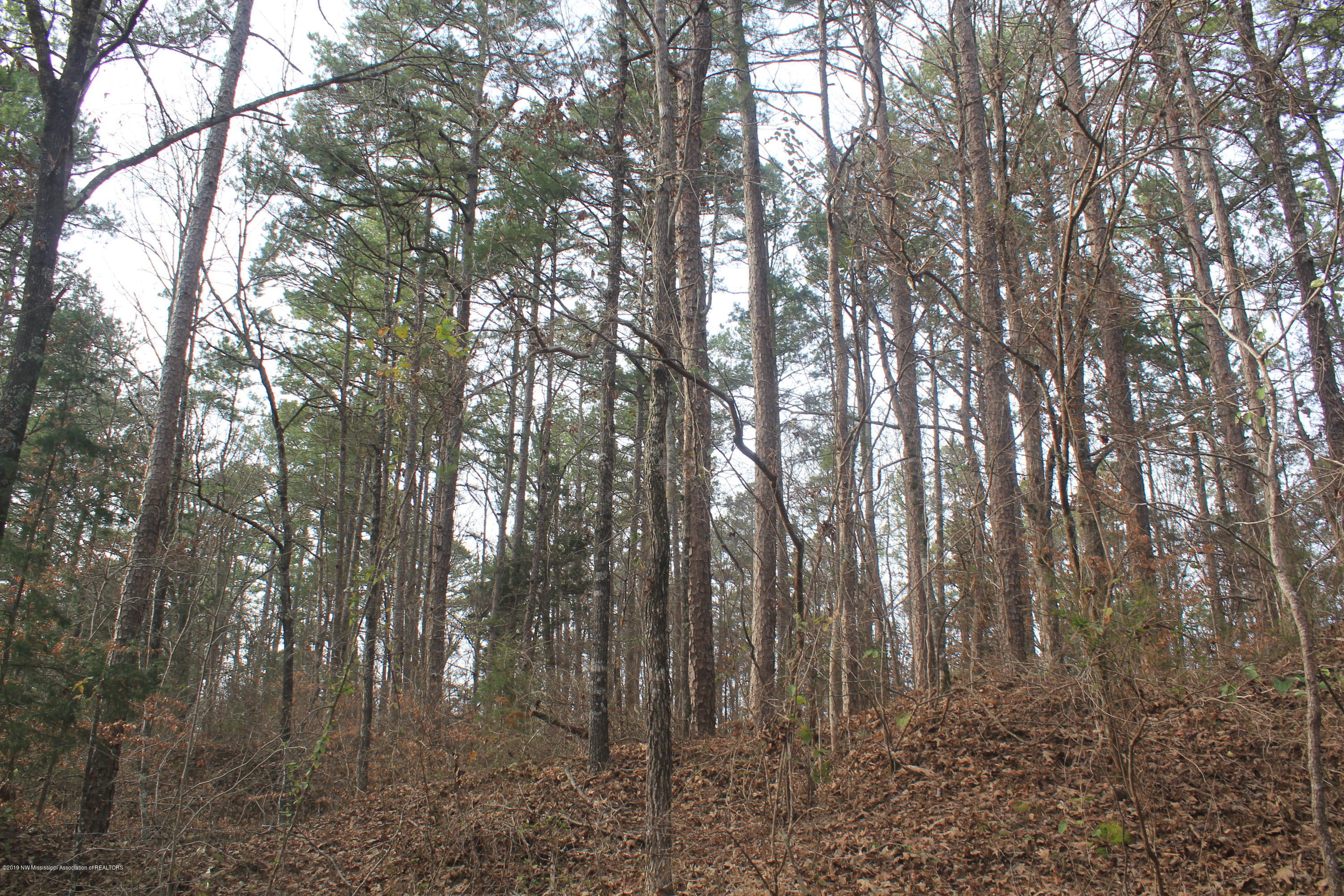327 Tuttle Road Holly Springs, MS 38635 - Photo 8 of 64 050