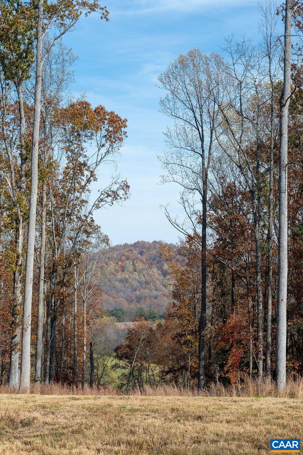 Tbd Red Hill Road Charlottesville, VA 22903 - Photo 15 of 50 a view of a backyard of the house