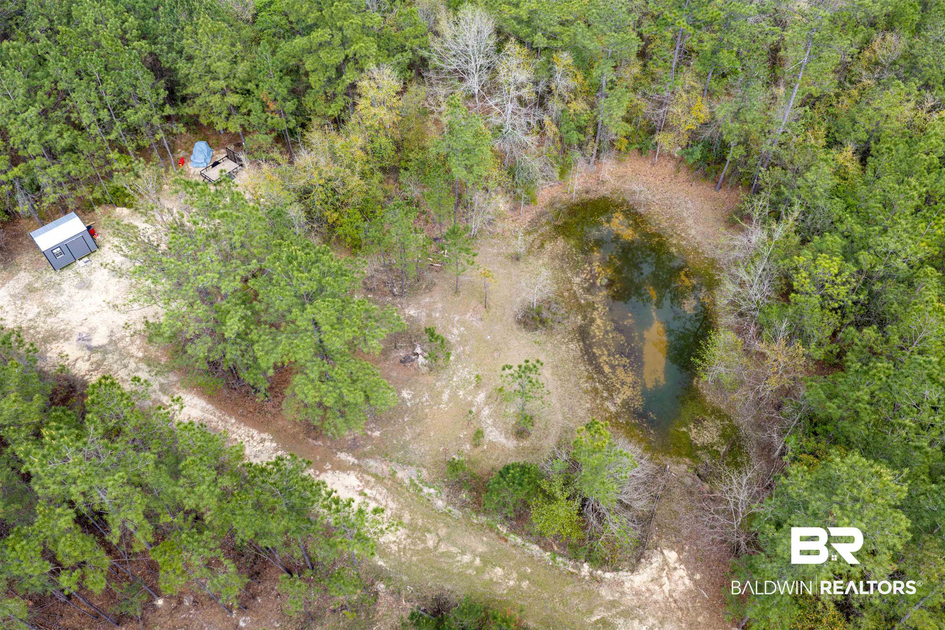 0 Salco Road Axis, AL 36505 - Photo 16 of 24 Bird's eye view