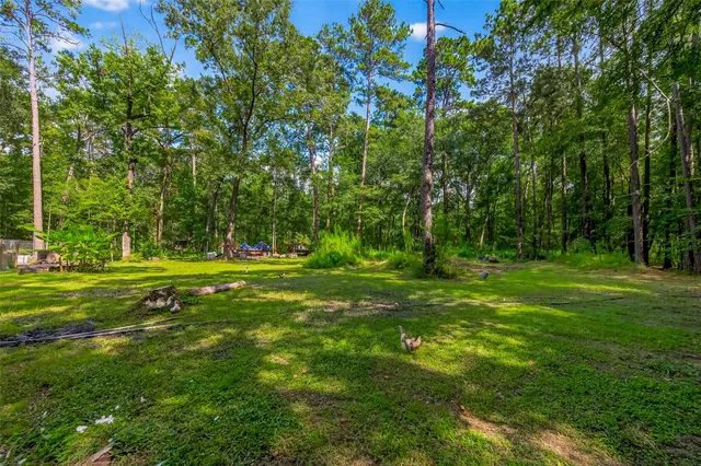 a view of backyard with green space