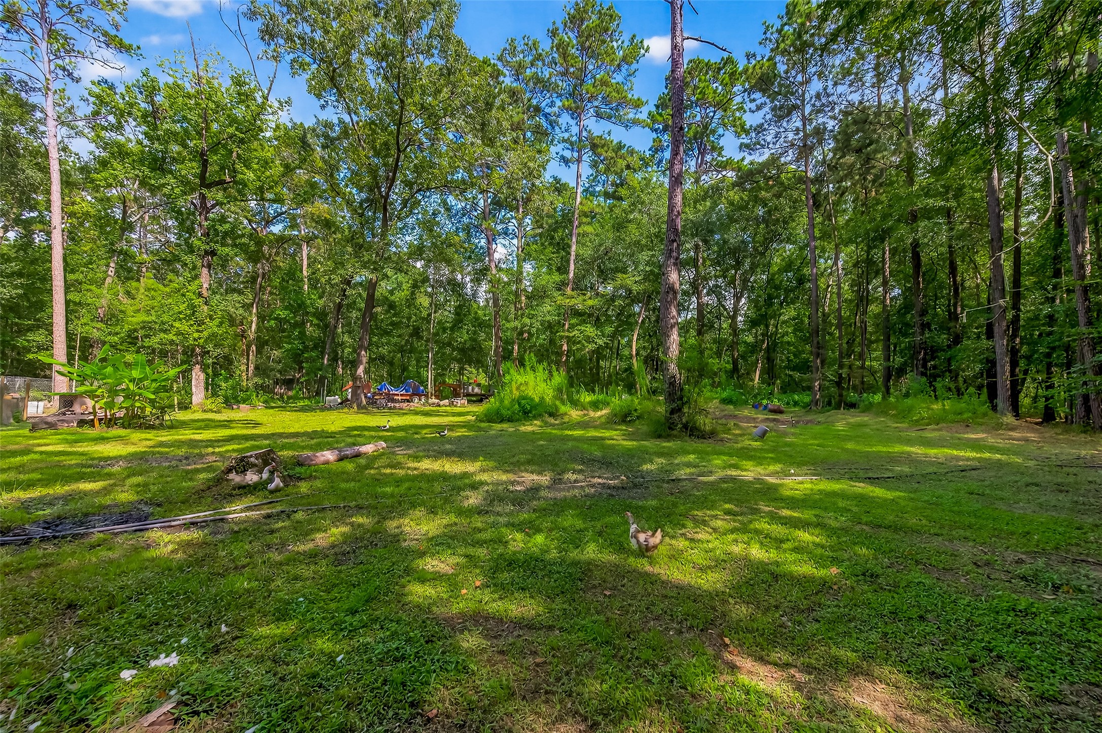 200 Our Road Shepherd, TX 77371 - Photo 33 of 46 a view of a park