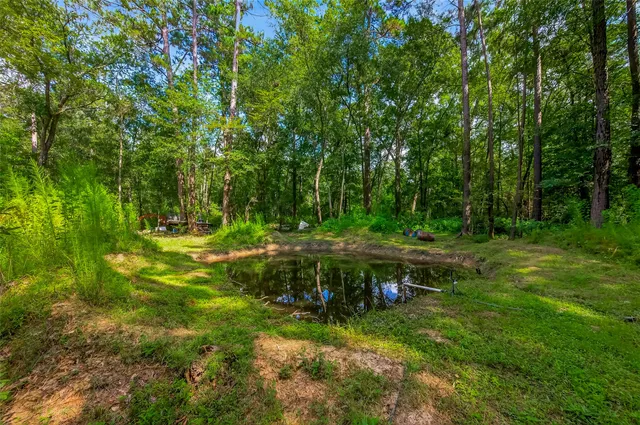 a view of green field