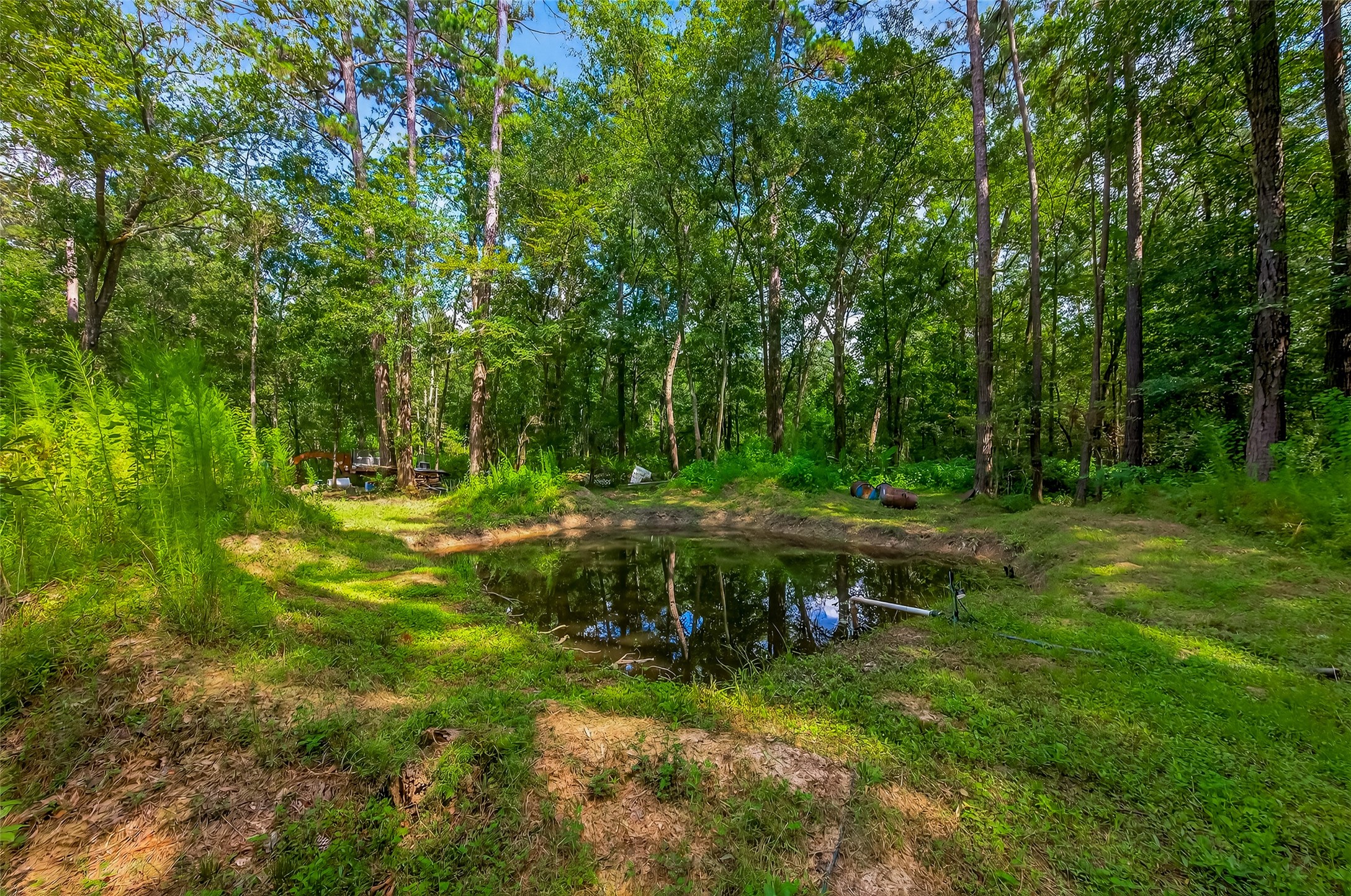 200 Our Road Shepherd, TX 77371 - Photo 34 of 46 a view of backyard with green space