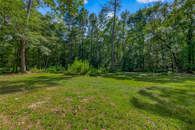 a view of backyard with green space