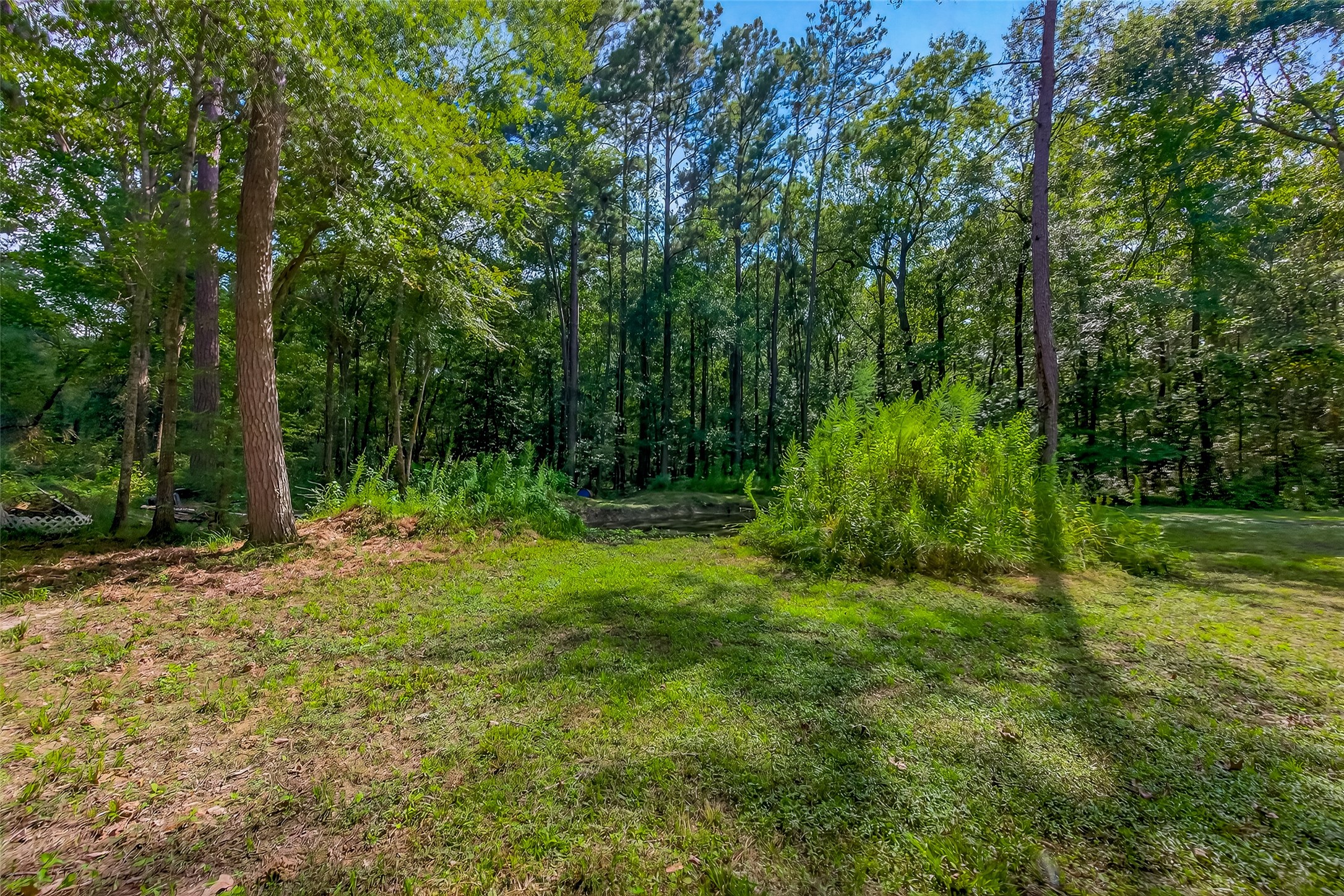 200 Our Road Shepherd, TX 77371 - Photo 37 of 46 a view of backyard with green space