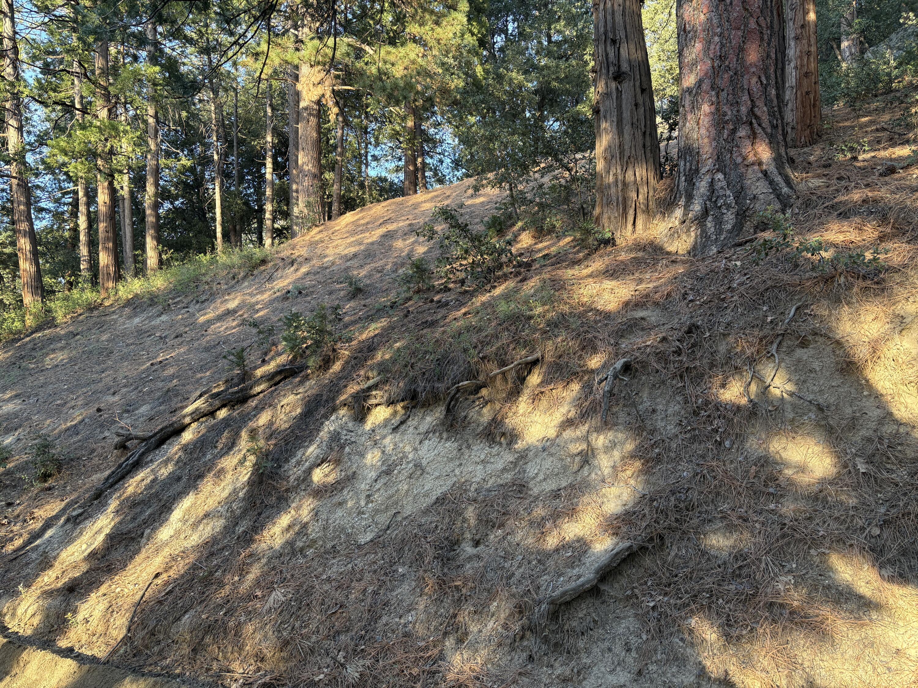 0 Tahquitz View Drive Idyllwild, CA 92549 - Photo 5 of 6 a view of mountain view