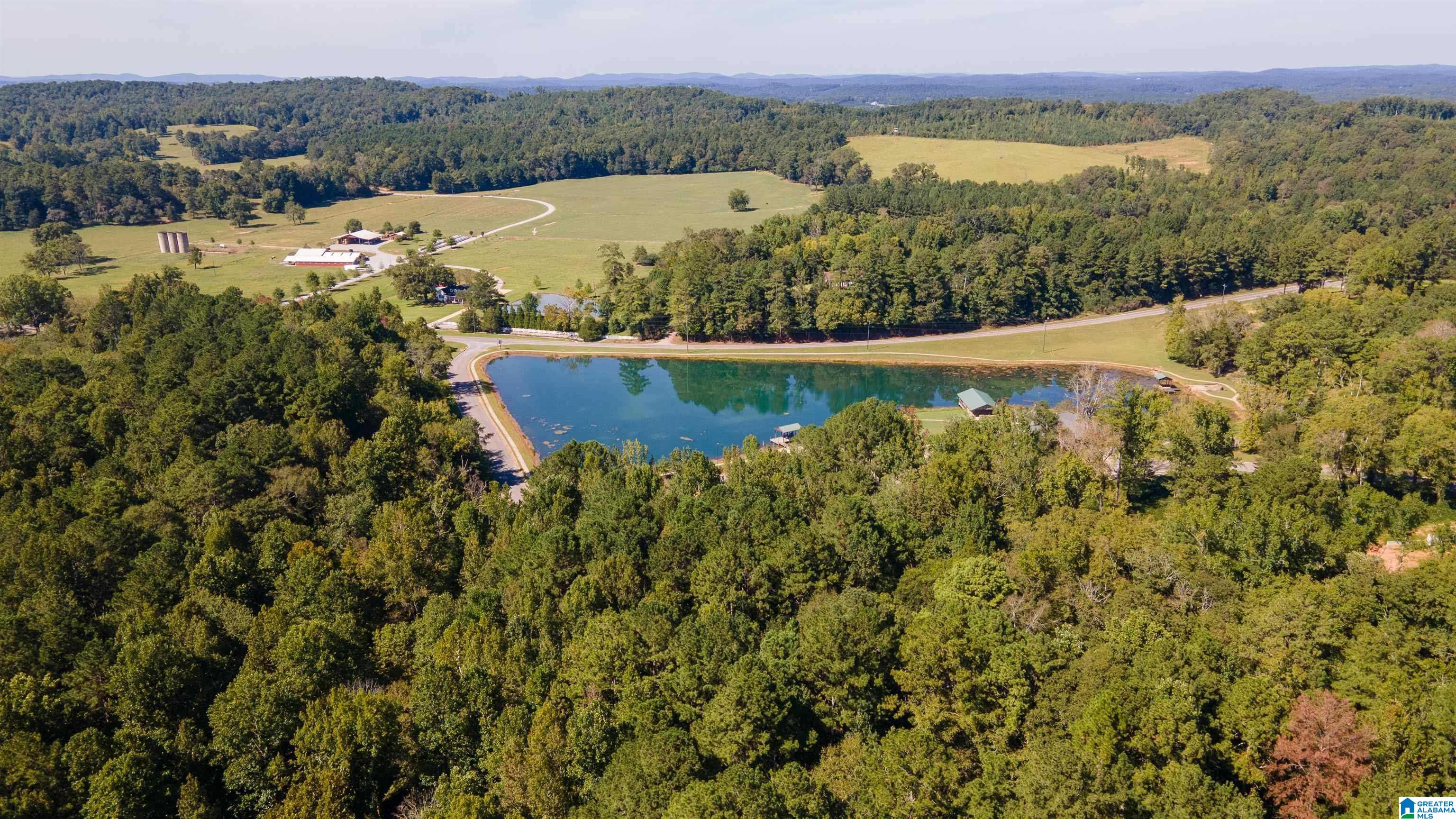 250 Angel Lake Road, Unit 1 PARCEL Jacksonville, AL 36265 - Photo 6 of 10