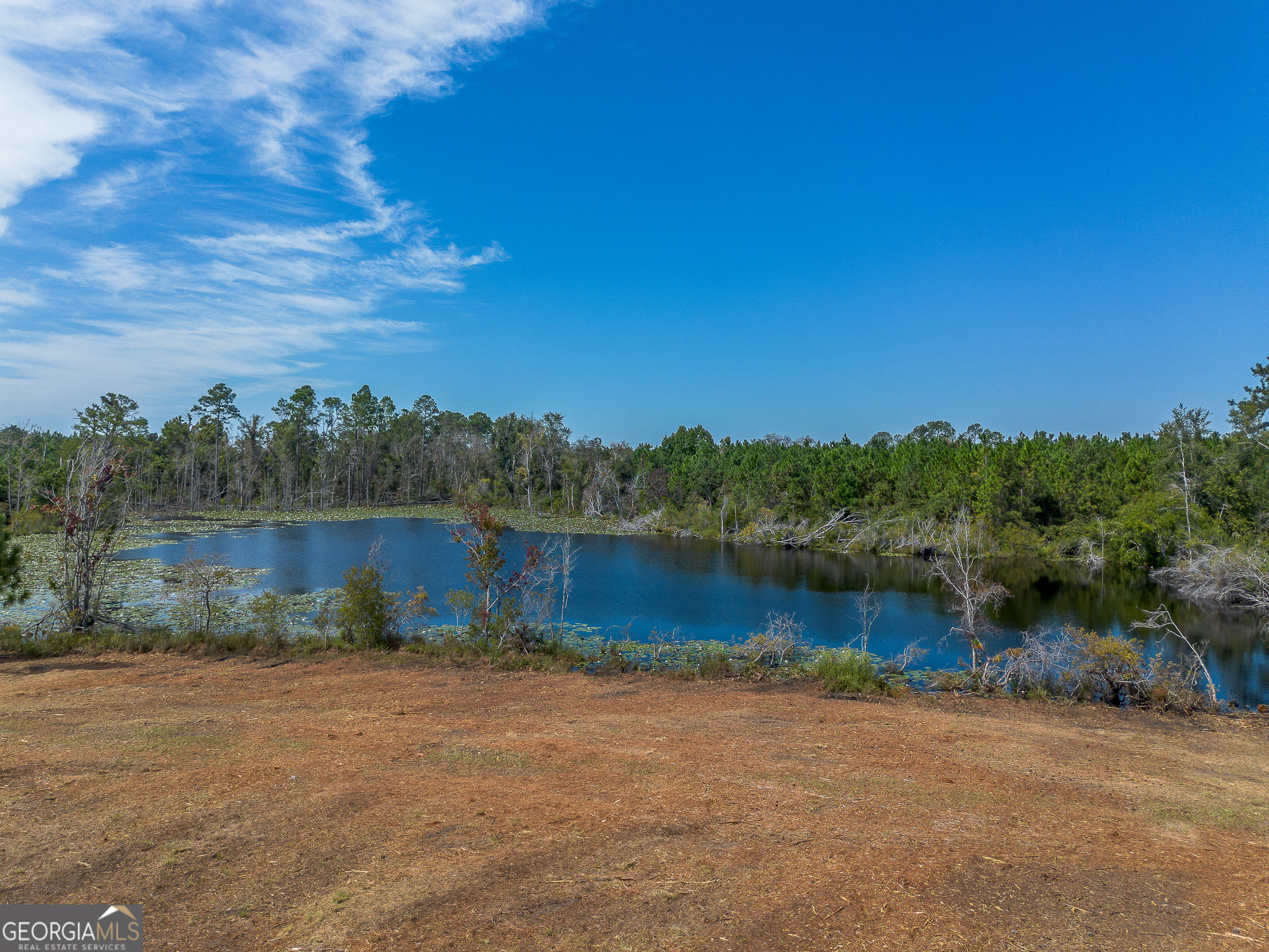 2 Rhonda Coleman Road Hazlehurst, GA 31539 - Photo 14 of 40