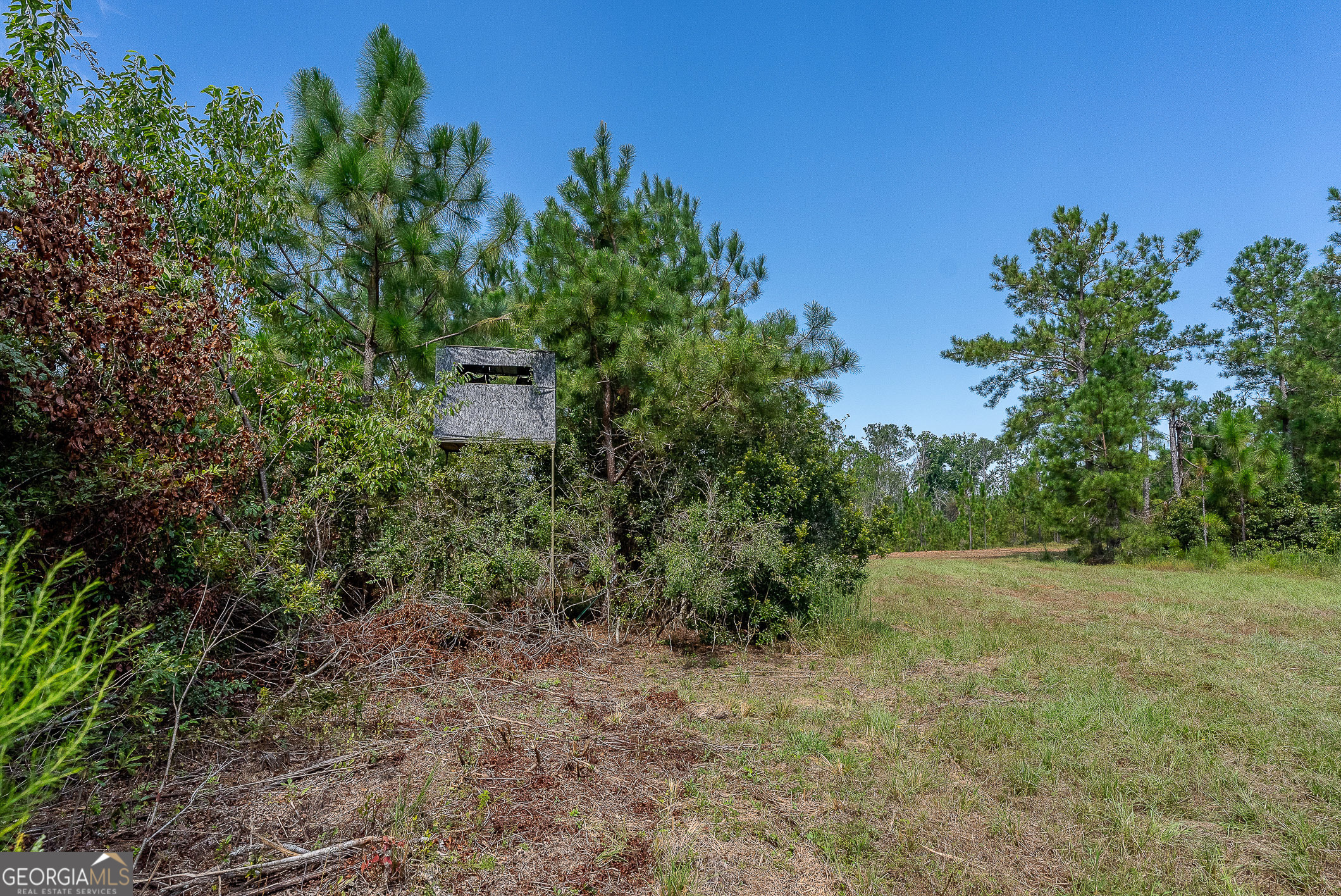 2 Rhonda Coleman Road Hazlehurst, GA 31539 - Photo 27 of 40