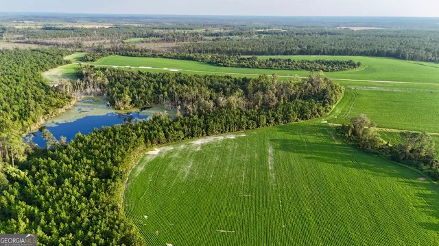 $1,107,915 | 2 Rhonda Coleman Road, Hazlehurst, GA 31539