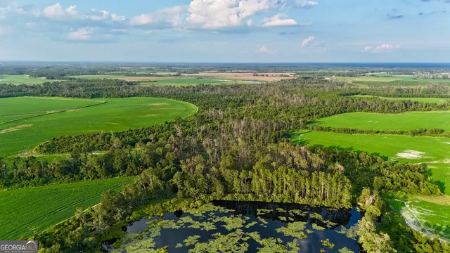 $1,107,915 | 2 Rhonda Coleman Road, Hazlehurst, GA 31539