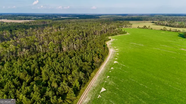 $1,107,915 | 2 Rhonda Coleman Road, Hazlehurst, GA 31539