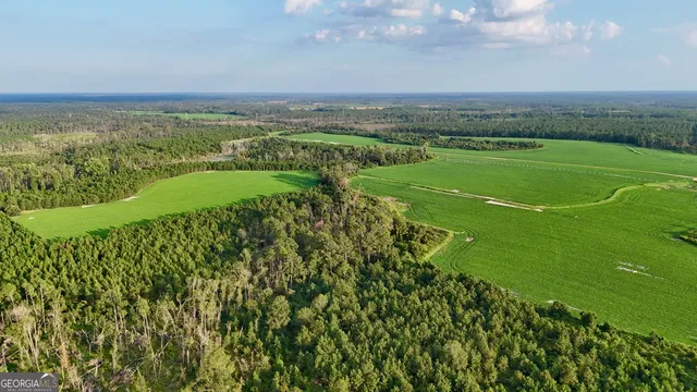 $1,107,915 | 2 Rhonda Coleman Road, Hazlehurst, GA 31539