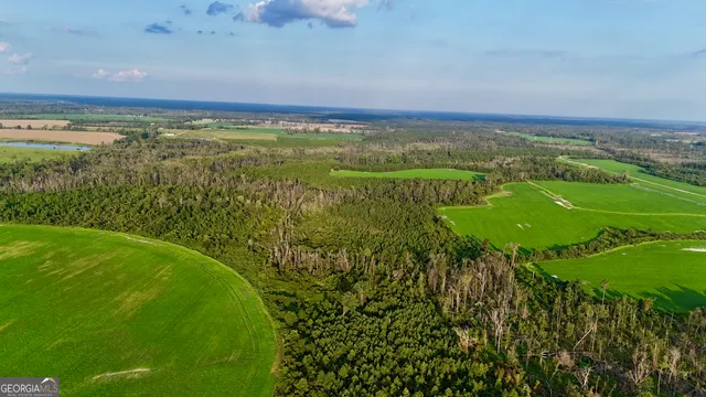 $1,107,915 | 2 Rhonda Coleman Road, Hazlehurst, GA 31539