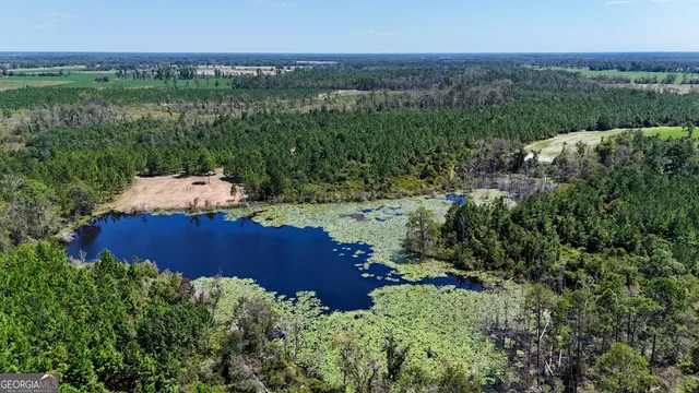 $1,107,915 | 2 Rhonda Coleman Road, Hazlehurst, GA 31539